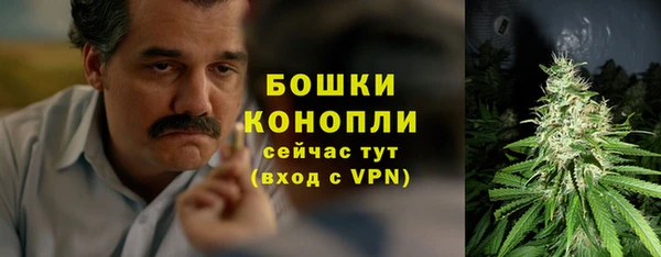стаф Коряжма