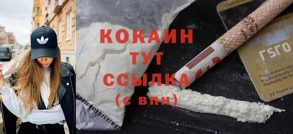 стаф Коряжма