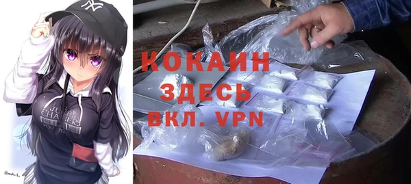 дурь Краснослободск