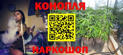 jwh Пенза