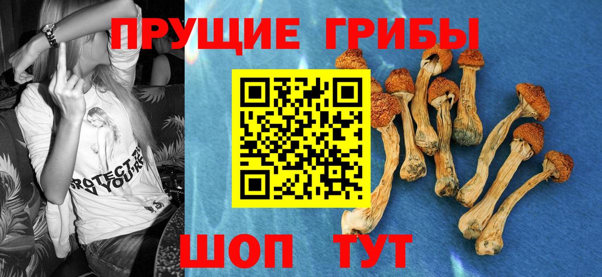 Галлюциногенные грибы Magic Shrooms  Псилоцибиновые грибы мухоморы  Вход с VPN  Пушкино 
